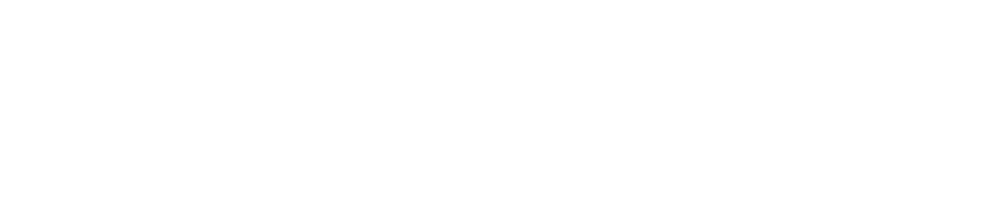 use.fo
